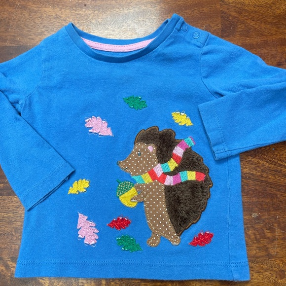Mini Boden Other - Mini Boden hedgehog top 9-12 months